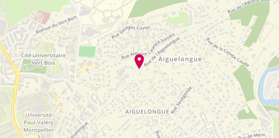 Plan de Luc Dupin Plomberie, La Victorenzo 965 Rue Aiguelongue, 34090 Montpellier