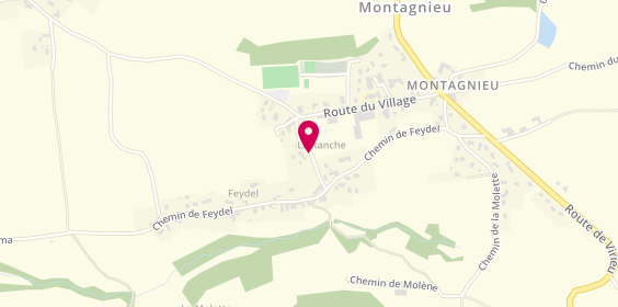 Plan de Moiroud Yves, 12 chemin du Serpent, 38110 Montagnieu