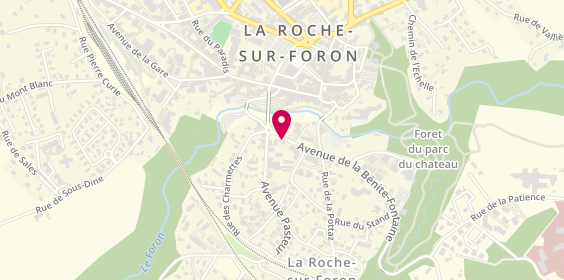 Plan de Eau Secours Plombier, 52 avenue de la Bénite Fontaine, 74800 La Roche-sur-Foron