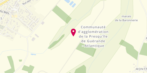Plan de Dauce Gerarld, 8 Impasse de Breniguen Zone Artisanale du Mes, 44350 Saint-Molf