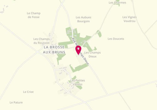 Plan de SARL Fabrice Morizet, 14 Chem. Des Champs Dieux, 58200 Alligny-Cosne