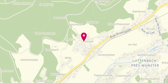 Plan de Ertle, 46 Fronzell, 68140 Luttenbach-près-Munster