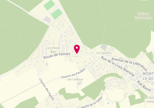 Plan de Blot Thierry, 5 Route de Fatines, 72450 Montfort-le-Gesnois