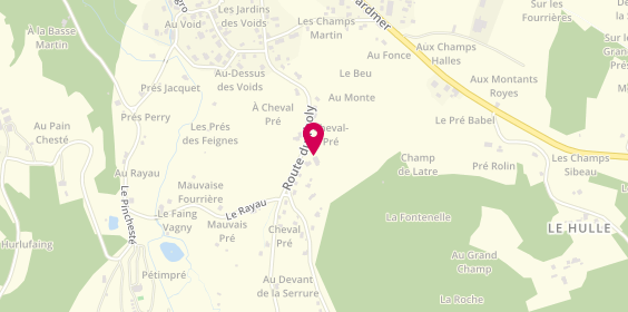 Plan de Maurice Alexandre, 21 Bis Route du Tholy, 88640 Granges-Aumontzey