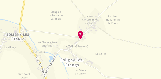 Plan de Jeanmenne Vincent, 12 Route Provins, 10400 Soligny-les-Étangs