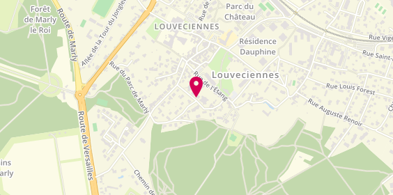 Plan de Artisan Francilien, 12 Rue Georges Blandon, 78430 Louveciennes